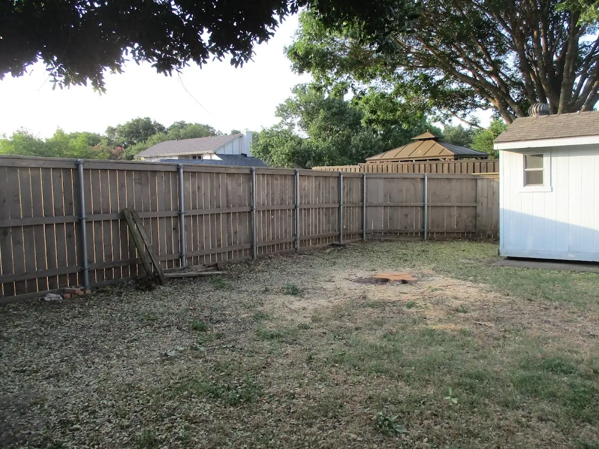 Cleared yard after professional tree removal in Blythewood